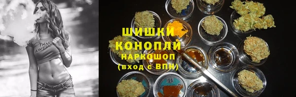 мдпв Пестово