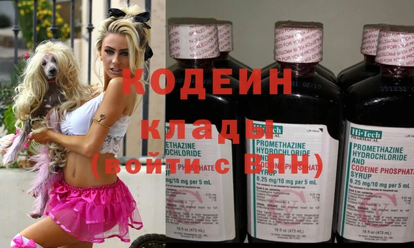 мдпв Пестово