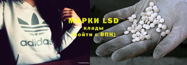 мдпв Пестово