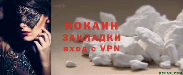 мдпв Пестово