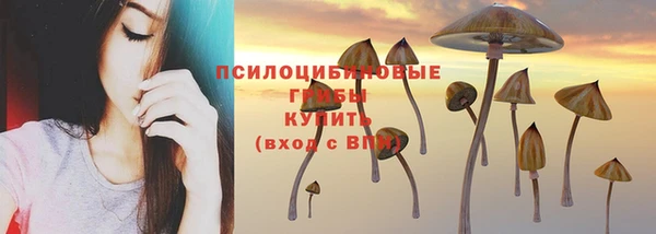 мдпв Пестово