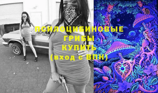 не бодяженный Переславль-Залесский