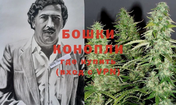 мдпв Пестово