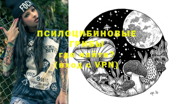 мдпв Пестово