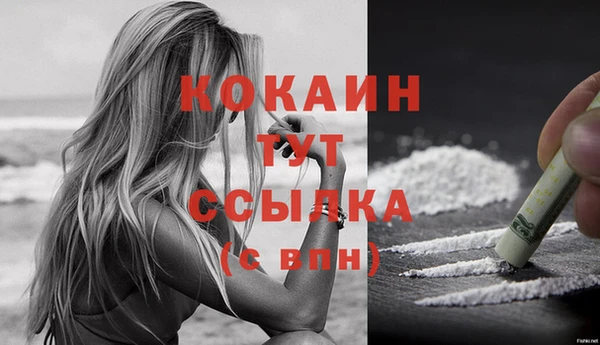стаф Усинск