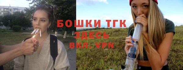меф Пересвет