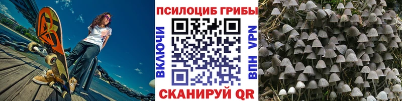 что такое наркотик  Альметьевск  Галлюциногенные грибы GOLDEN TEACHER 