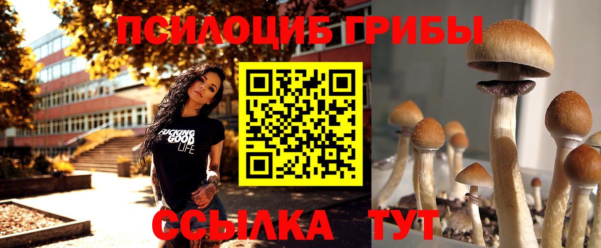 Альметьевск  Галлюциногенные грибы ЛСД  Вход с VPN 