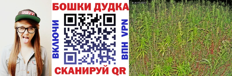 наркошоп  Альметьевск  Бошки марихуана конопля 